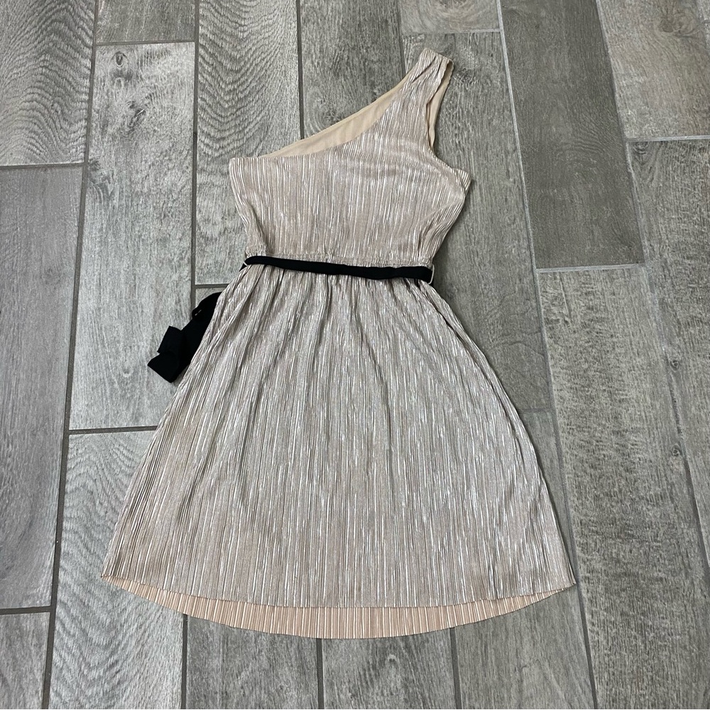 Express Dress - Picture 3 of 3